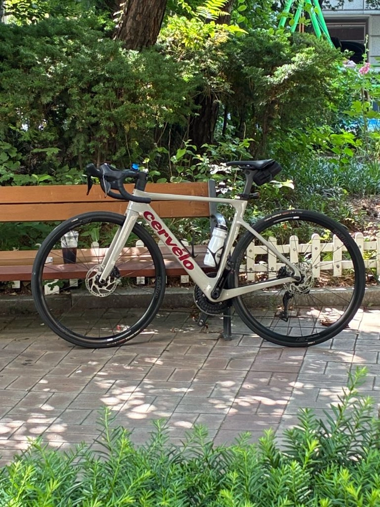 25년식 써벨로(cervelo) 솔로이스트 팝니다 - 안심되는 중고거래