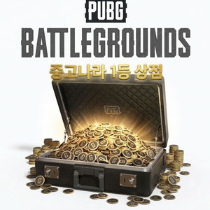 (실시간가격반영)배그 정품 코인 11200g 이미지