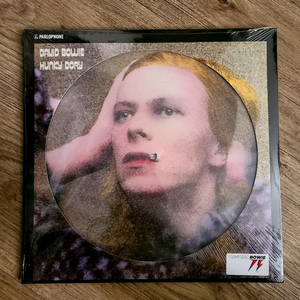 데이빗 보위 Hunky Dory Picture Disc LP 이미지
