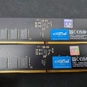 [대원 정품] 마이크론 크루셜 DDR5-6400 CUDIMM 32GB RAM (16GB x 2개) 이미지