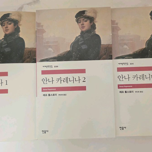 민음사 세계문학전집 안나 카레니나 3권 세트 책 이미지