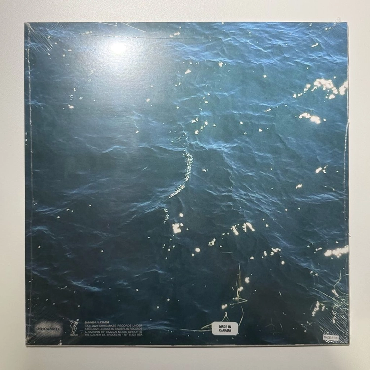 [미개봉] Homeshake 홈쉐이크 - Under The Weather LP 이미지