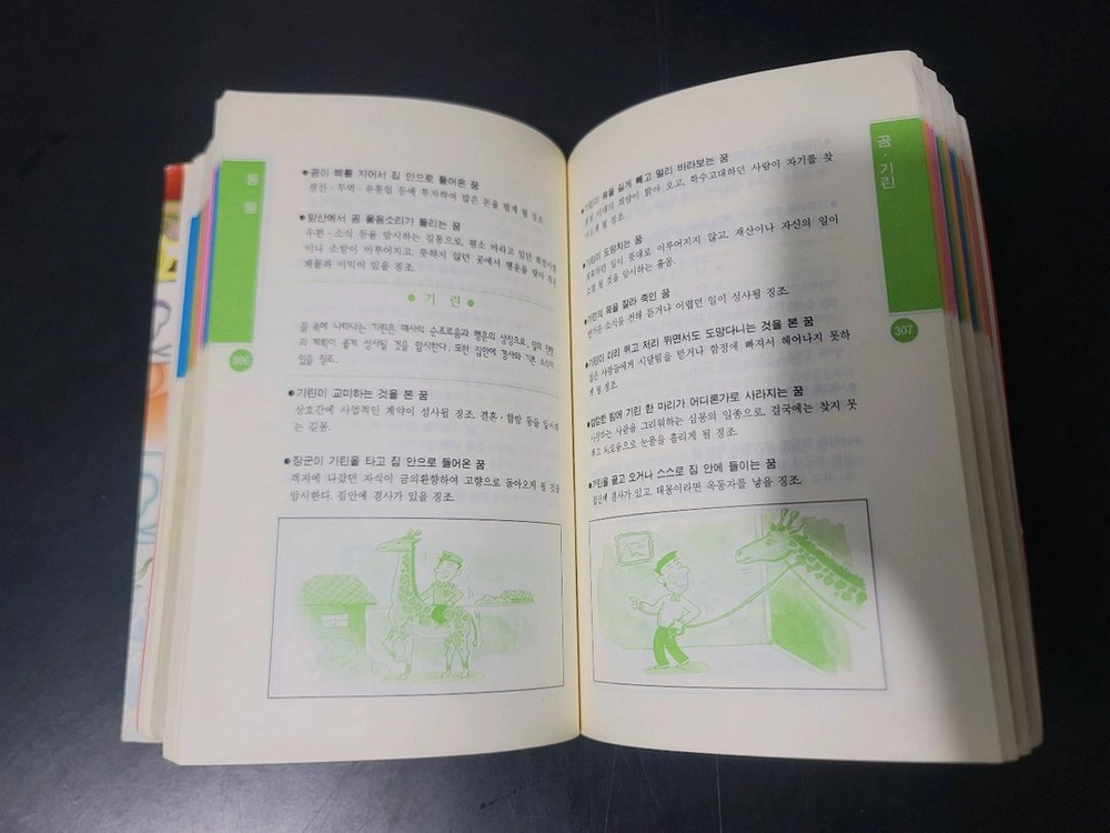 꿈풀이 혁명 이미지