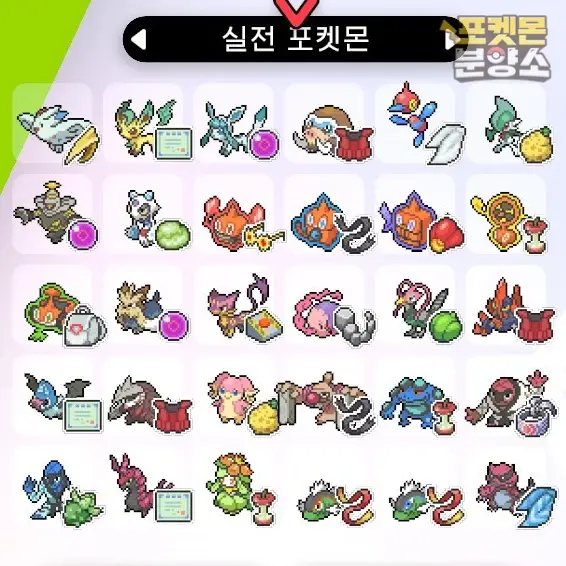 실전 샘플 포켓몬 분양 / 소드 실드 / 닌텐도 스위치 이미지