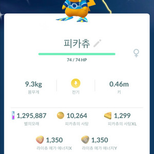 포켓몬고 잠수 이로치 피카츄 팝니다. 이미지