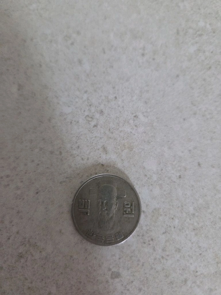 1973 100원 희귀동전 이미지