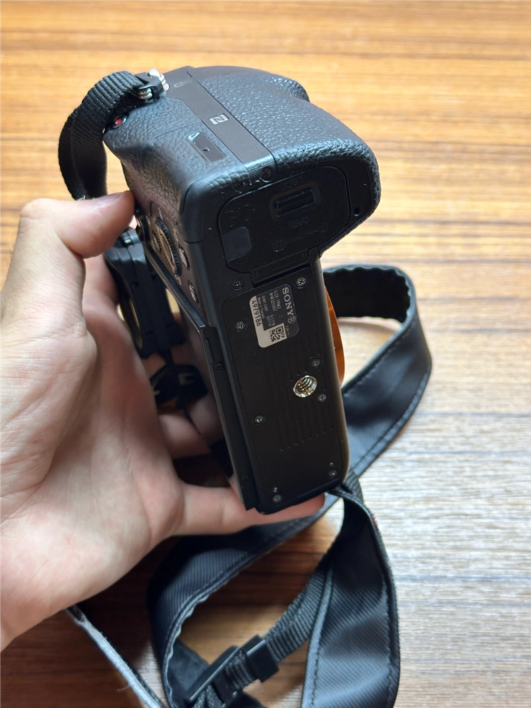 소니 a7R2 고화소 미러리스 이미지