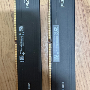 Crucial DDR5-5600 32gb(16gbx2ea) 데스크탑 메모리 이미지