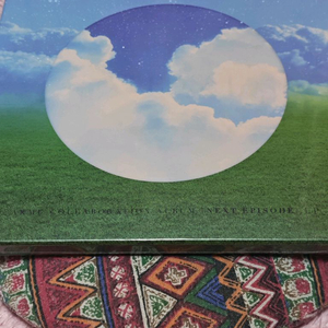 (미개봉) 악뮤 낙하 박스반 LP 이미지