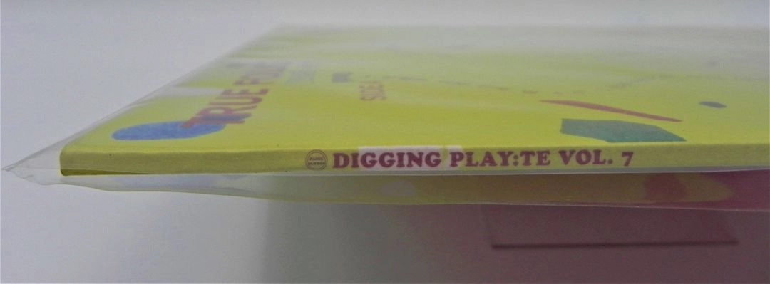 [미사용/비매한정판] 패닉버튼 DIGGING PLAY:TE Vol.7 - TRUE FOLKS (진실된 사람들) LP 이미지