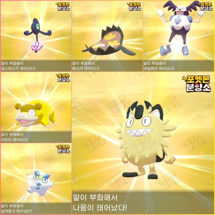 이로치 포켓몬 분양 / 소드 실드 / 닌텐도 스위치 이미지