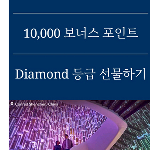 힐튼호텔 다이아등급 선물권 이미지