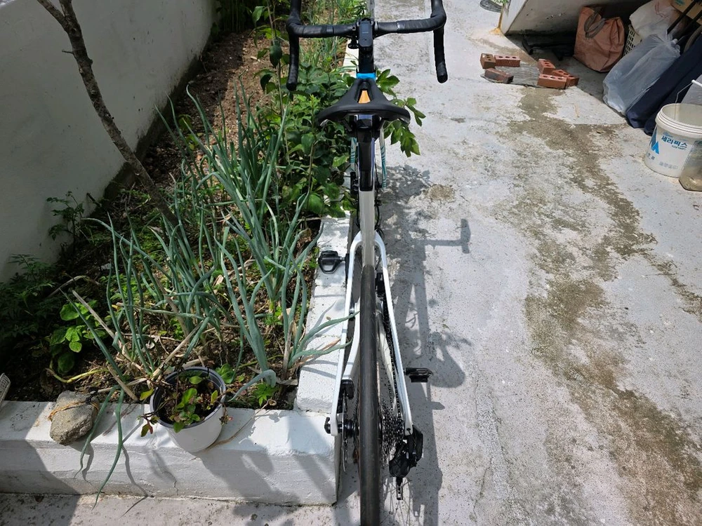메리다 리엑토5000 24년식 S 팝니다 이미지