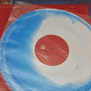 트로이시반 in a dream LP 이미지