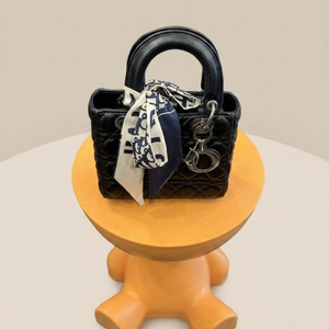 디올 레이디백 미니 블랙 이미지