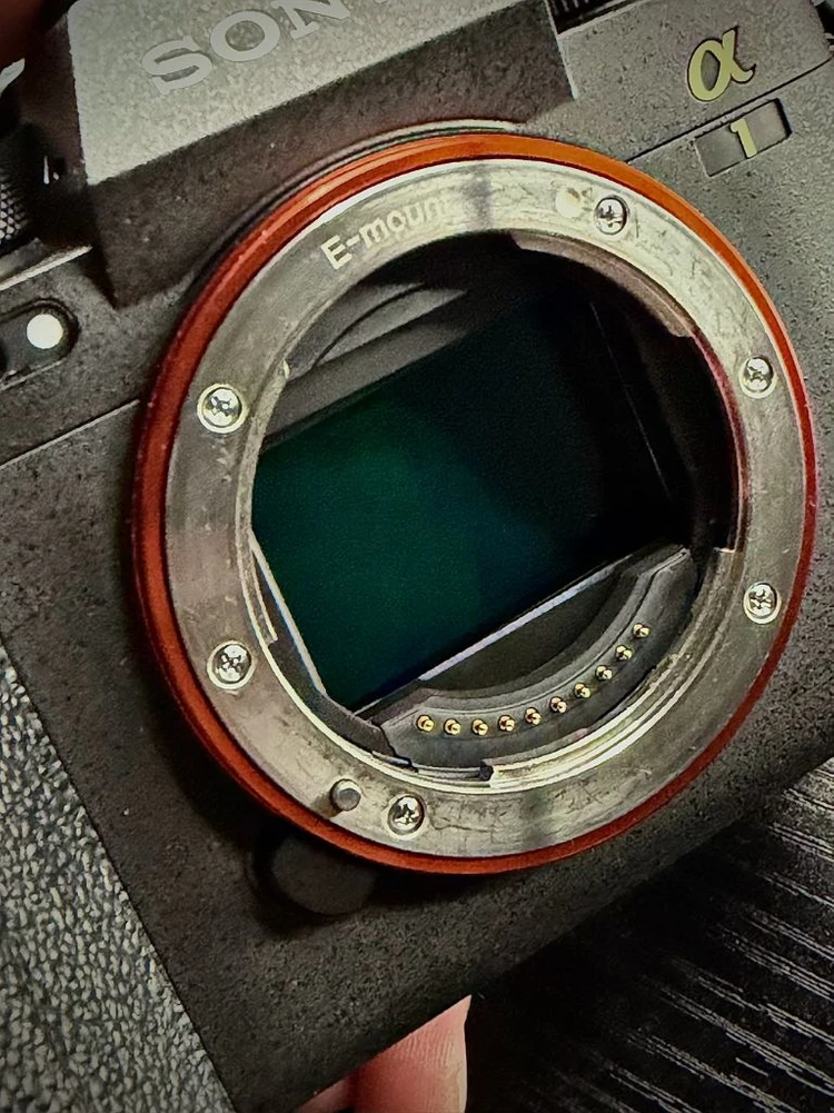 sony a1 ,세로그립 배터리2개 이미지