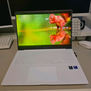 LG 그램 2026 팬서레이크 16Z90U-KU7WK 32GB RAM 1TB SSD