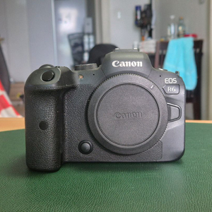 미러리스r6 카메라