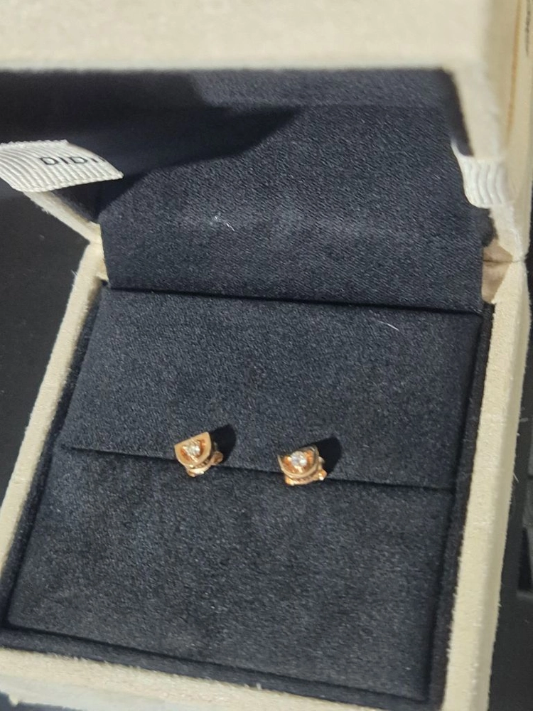 디디에두보 14K 골드 귀걸이(JDRERTF414S) 이미지