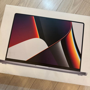 맥북 m1 pro 16인치 32gb 500gb