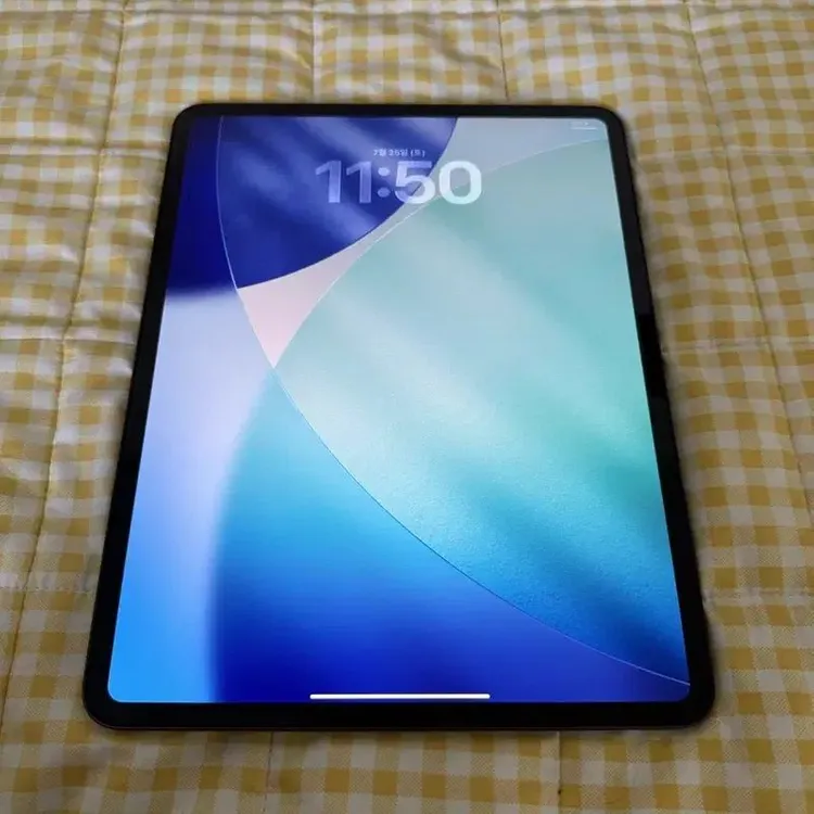 아이패드 프로 13 M5 256기가 와이파이+애플펜슬프로 이미지