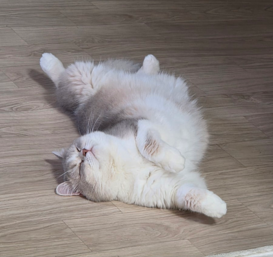 프로필 이미지