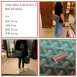 고야드 벨베데르 이미지