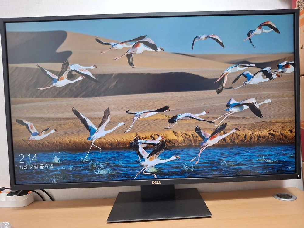 DELL 4K 43인치 P4317Q 모니터 - 안심되는 중고거래