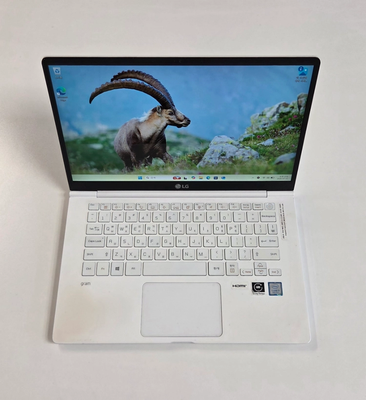 LG 그램 14 14ZD990-GX50K 노트북 판매 이미지