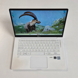 LG 그램 14 14ZD990-GX50K 노트북 판매 이미지