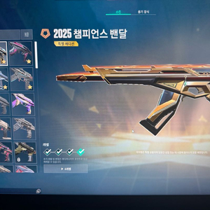 발로란트 굿즈 이미지