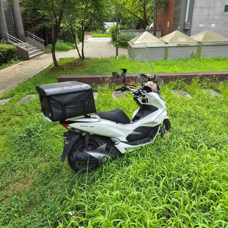 pcx125 20년식 이미지