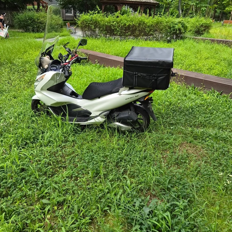 pcx125 20년식 이미지