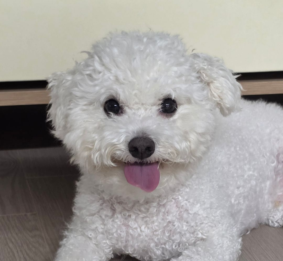 프로필 이미지
