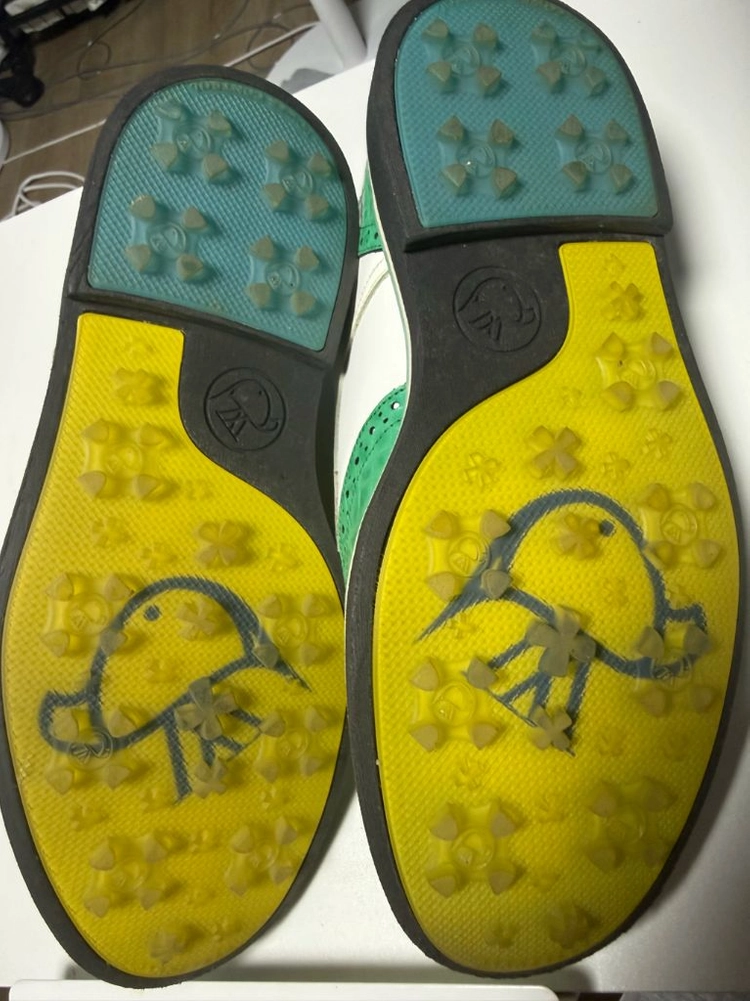 아베스 Paradise 그린민트 남성 클래식골프화 이미지