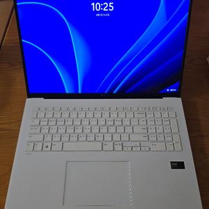 2024 그램 17 화이트 (125H / 16GB / ARC그래픽)