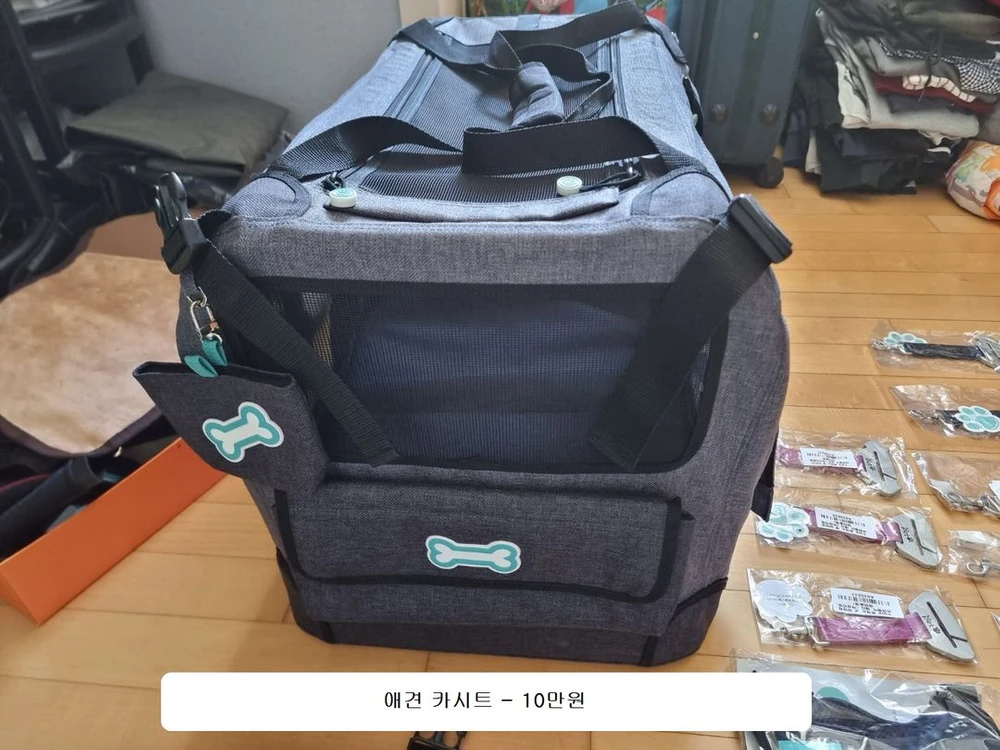 애견카시트 강아지이동장 고양이이동장 강아지집 고양이집 안전벨트테더 하네스 목줄 .. . . ============= 이미지