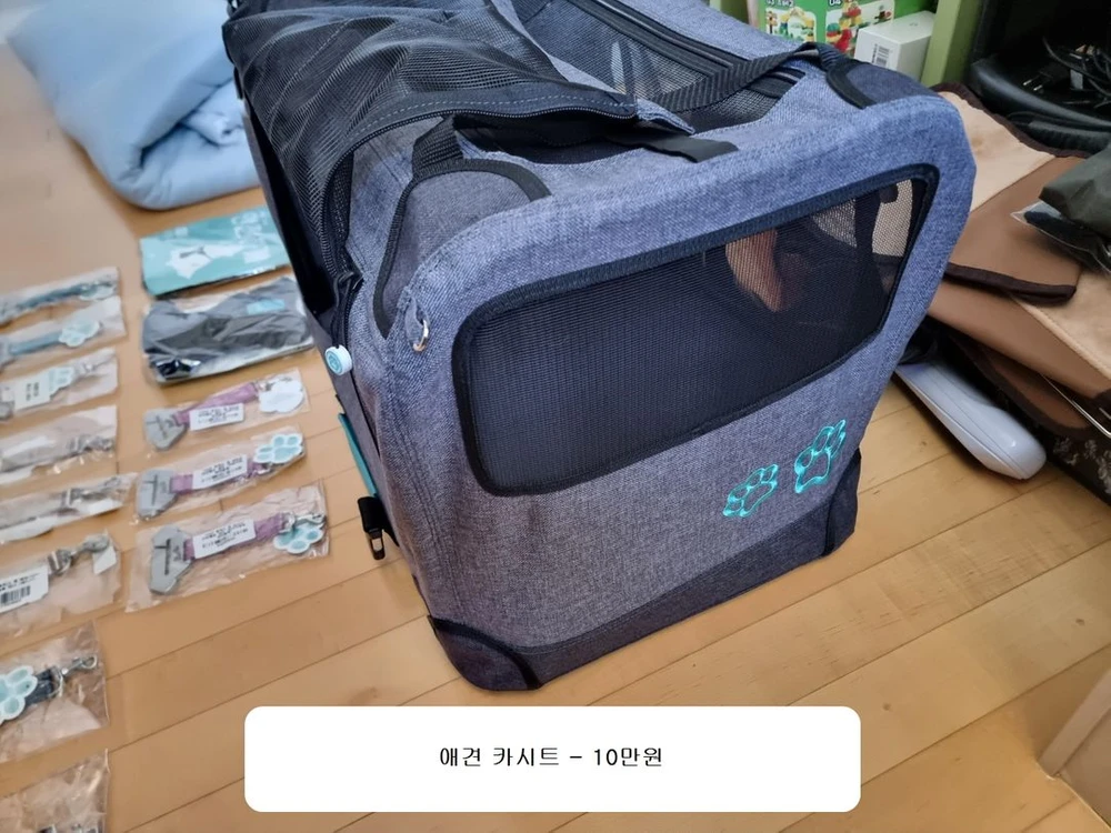 애견카시트 강아지이동장 고양이이동장 강아지집 고양이집 안전벨트테더 하네스 목줄 .. . . ============= 이미지