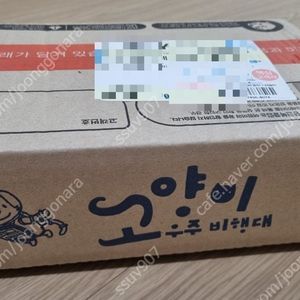 고양이우주비행대 미개봉 새책 이미지