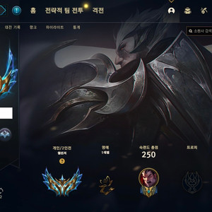 롤 맡김듀오강의대리ㄷㄹ 도움드립니다 이미지