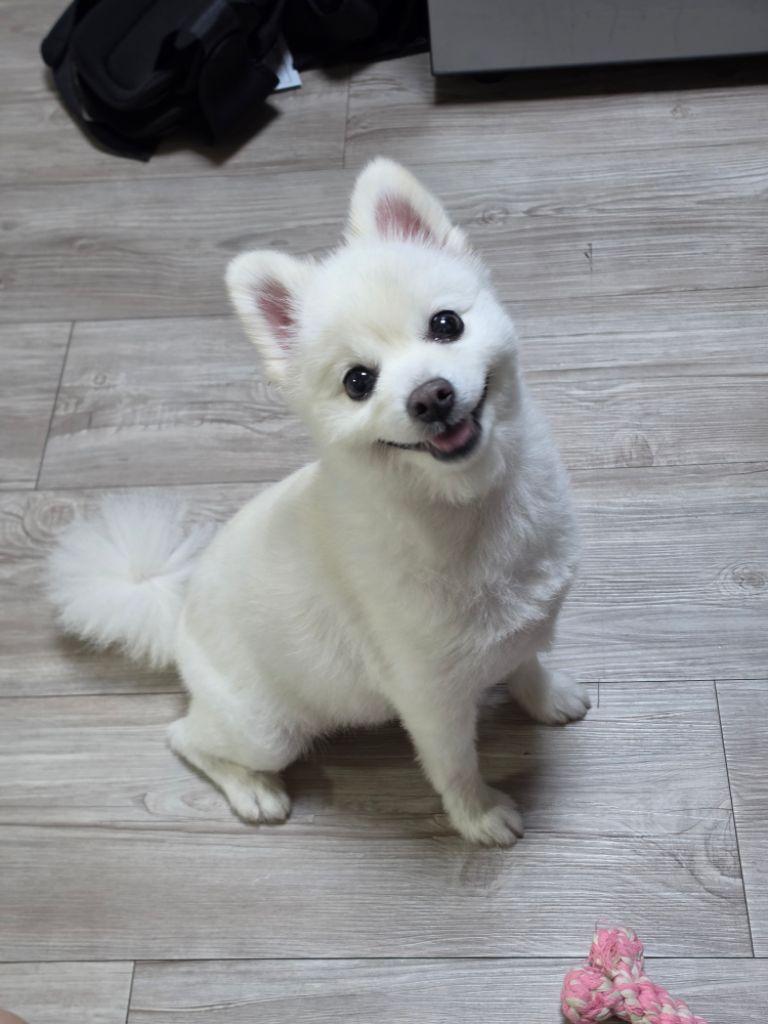 프로필 이미지