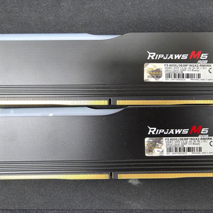 [RAM] 지스킬 Ripjaws M5 RGB DDR5-6000 CL36 32GB (16GB x 2) 블랙 이미지