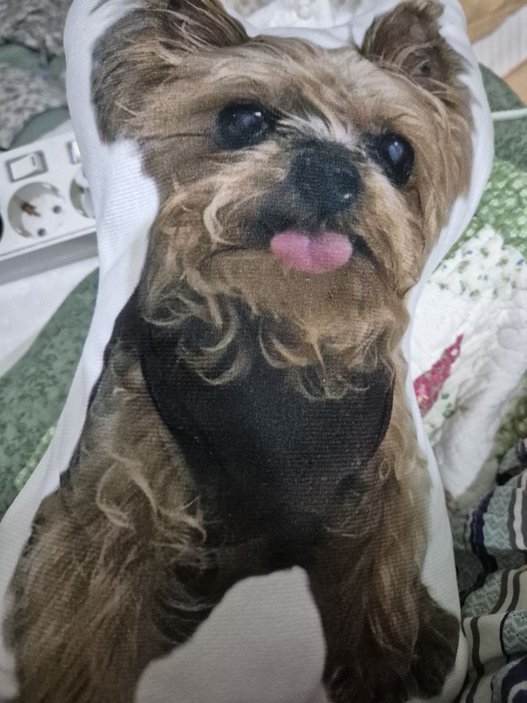프로필 이미지