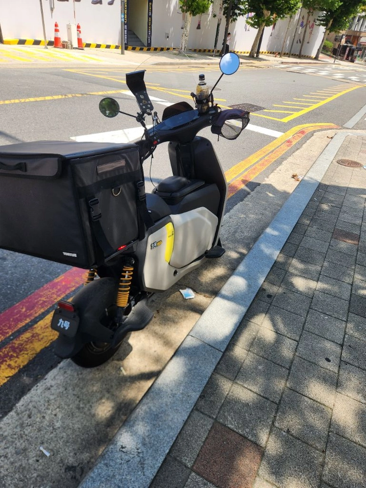 세그웨이 나인봇 Fz110 이미지