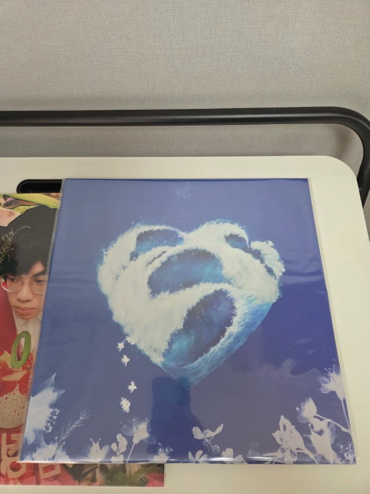 검정치마 201 lp, 콜드 러브파트2 일괄 이미지