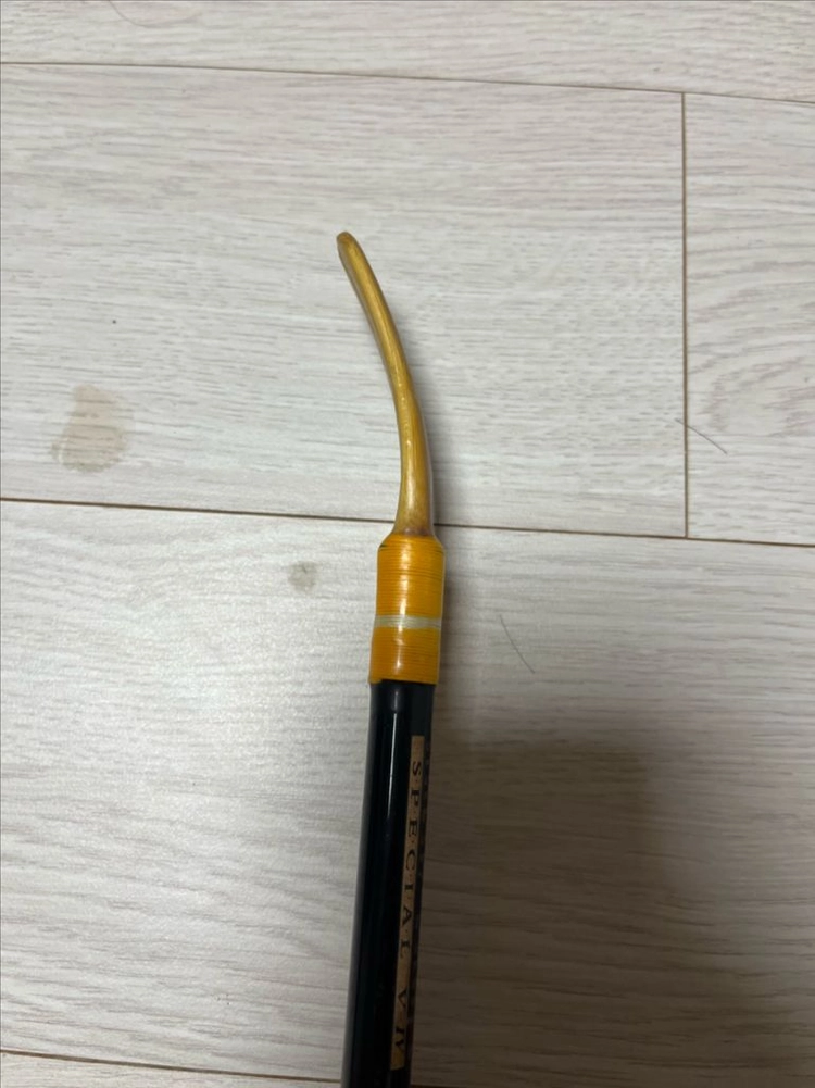 장찌 및 다마스쿠스 쏠채 이미지