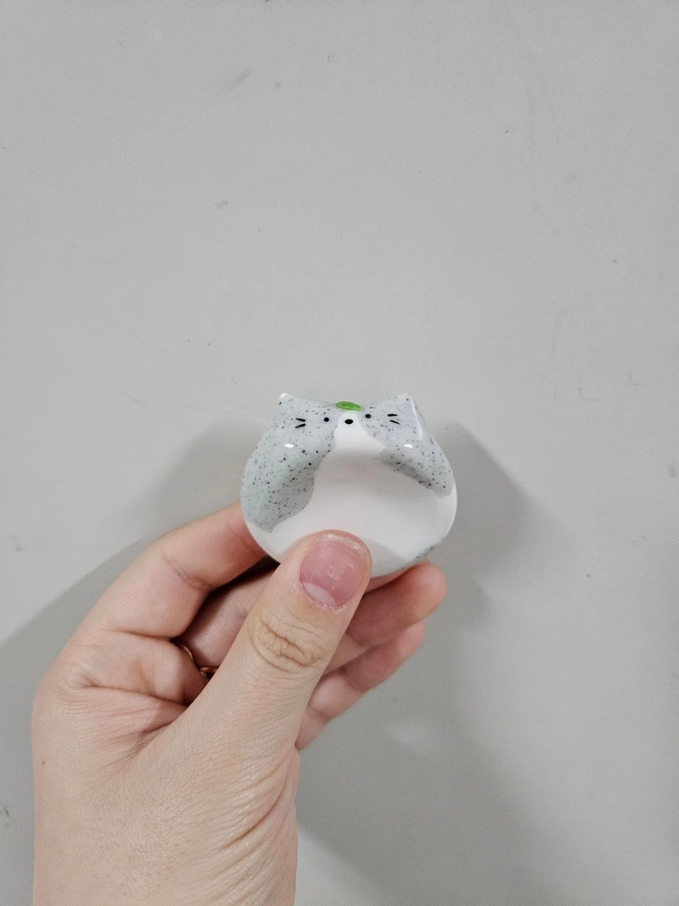 고양이 워리스톤 이미지