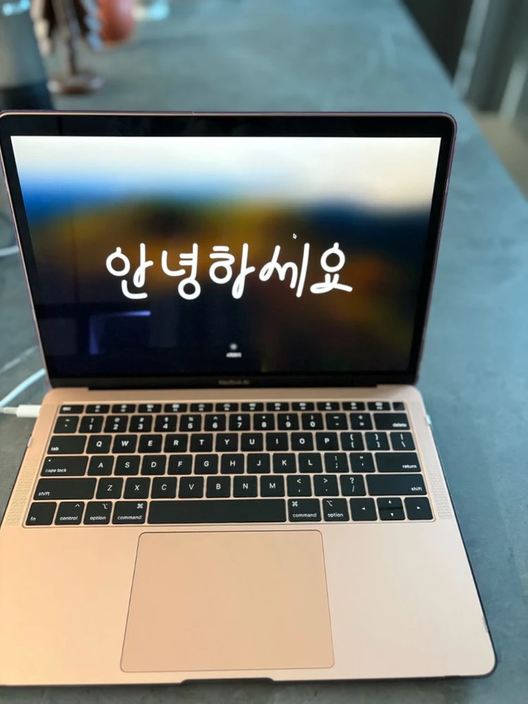 애플 맥북 에어 13인치 로즈골드 256GB 이미지