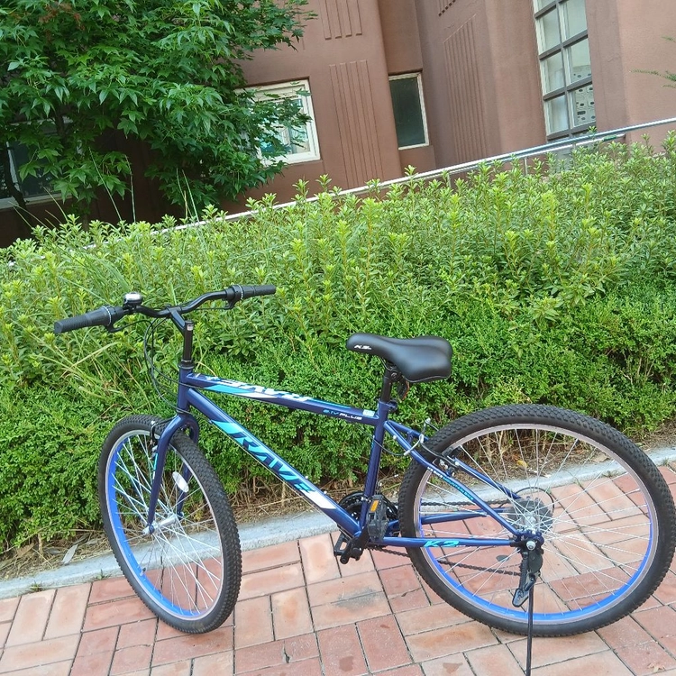 26인치 생활 마실출퇴근 운동 자전거 이미지