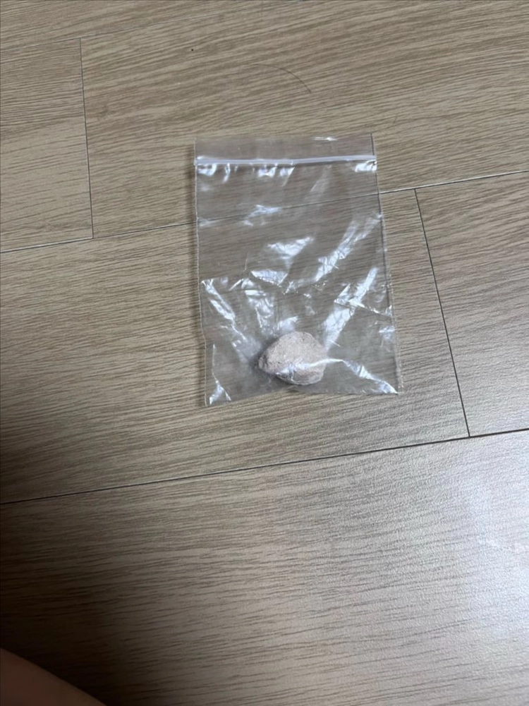 돌멩이 화석(교육용) 이미지